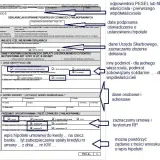 Jak wypełnić deklarację kandydata do bierzmowania bez błędów